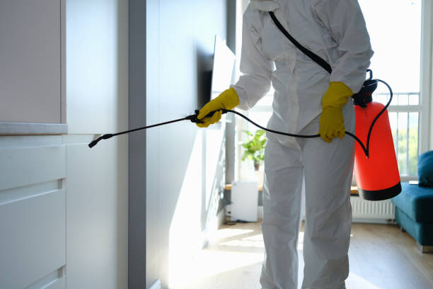 Best Residential Mold Removal  in Lawrence, KS