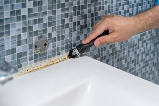  Lawrence, KS Mold Removal Pros