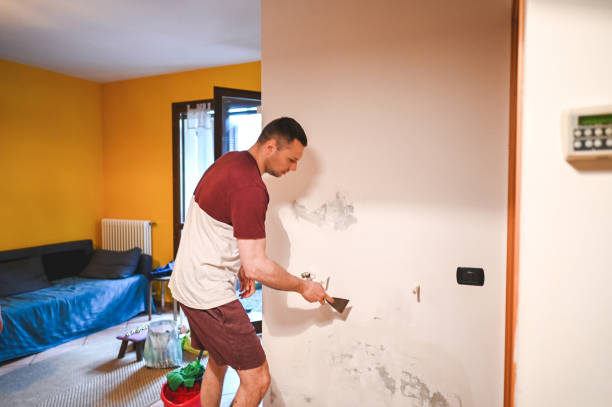 Lawrence, KS Mold Removal Company