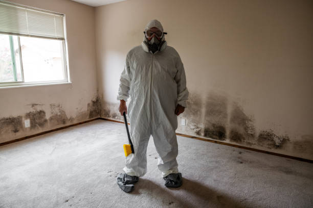 Office Mold Removal Services in Lawrence, KS